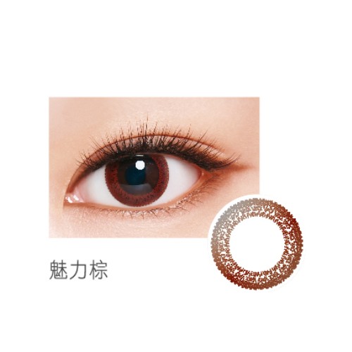 LACELLE蕾絲炫眸 睛緻美系列 魅力棕